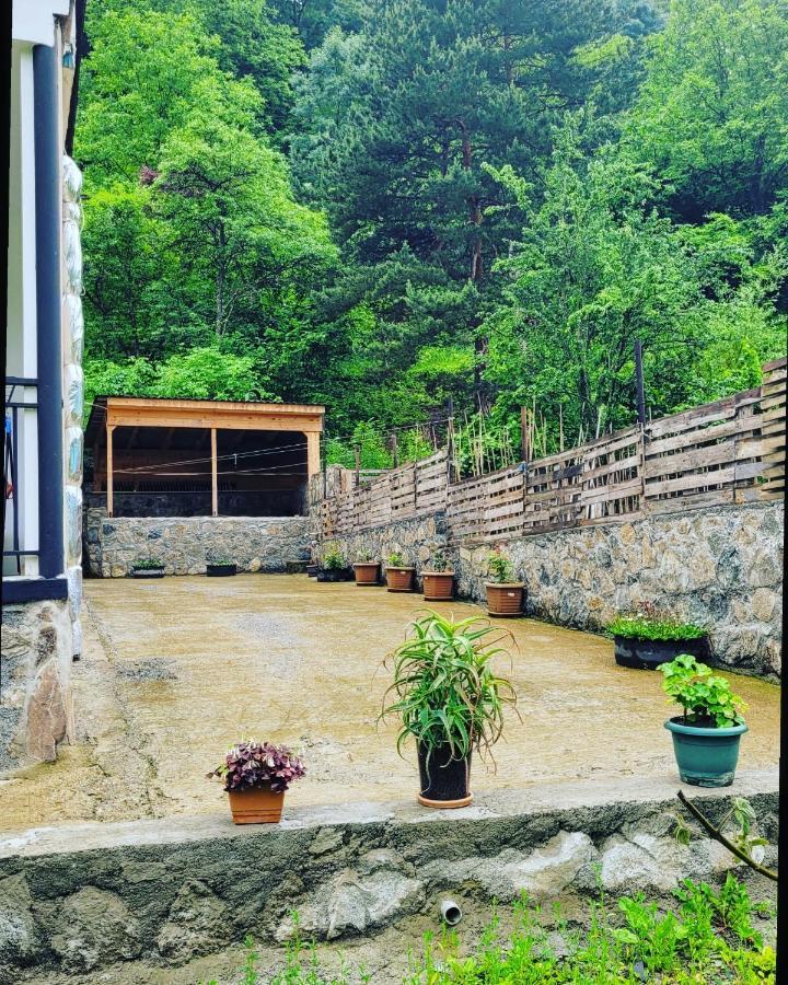 Family Hotel Mountain Panorama Borjomi Exterior photo