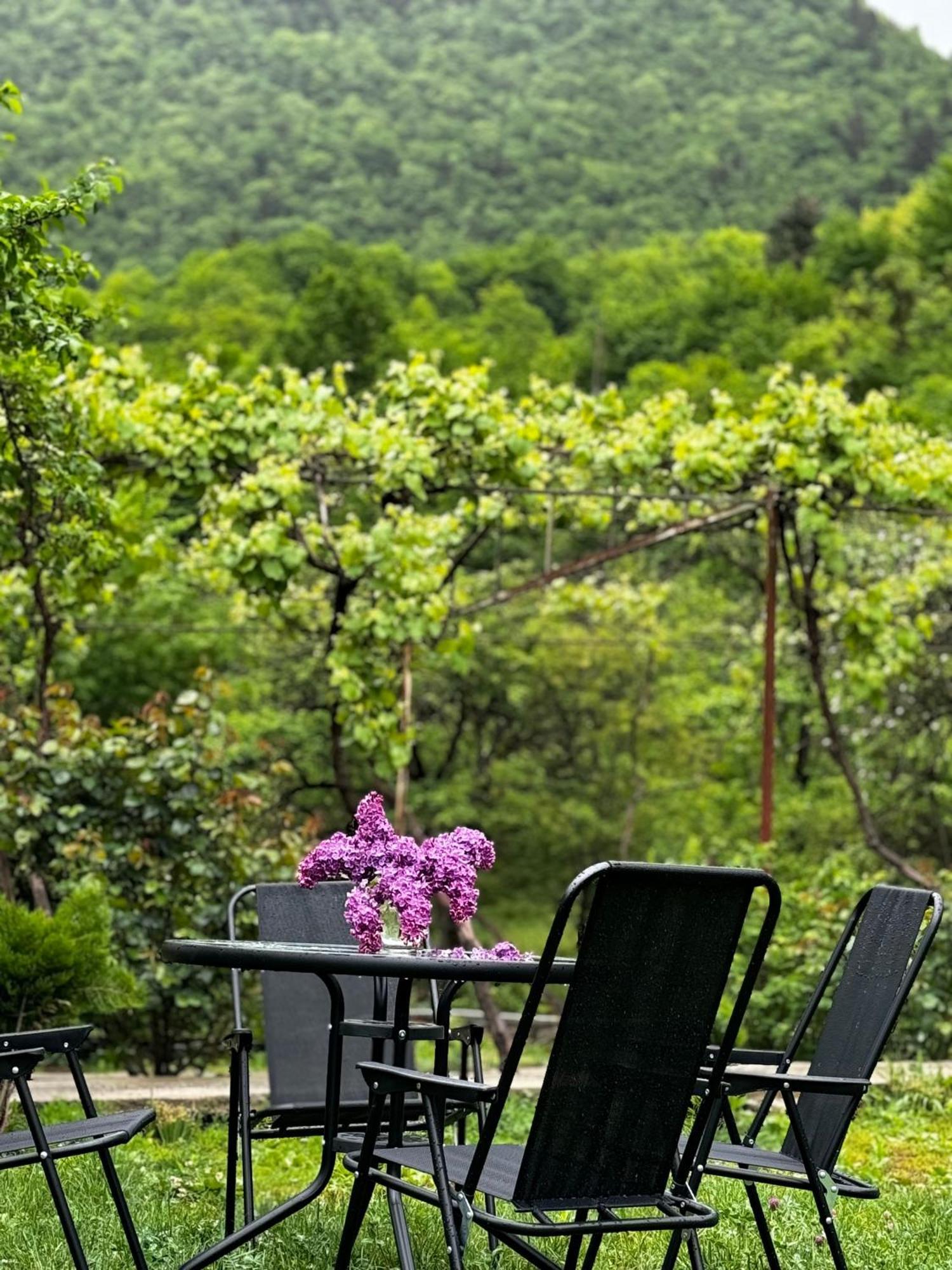 Family Hotel Mountain Panorama Borjomi Exterior photo