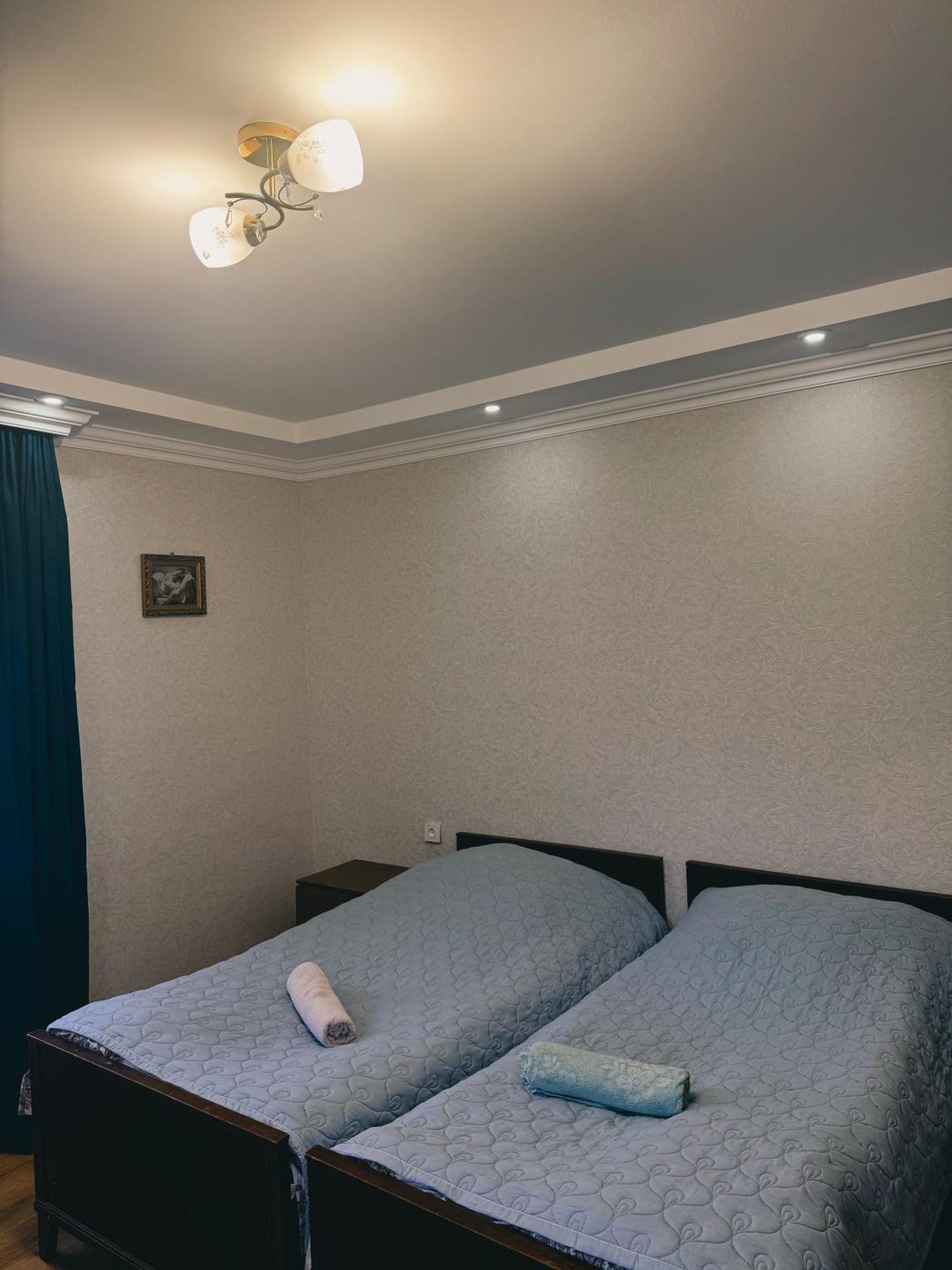 Family Hotel Mountain Panorama Borjomi Exterior photo
