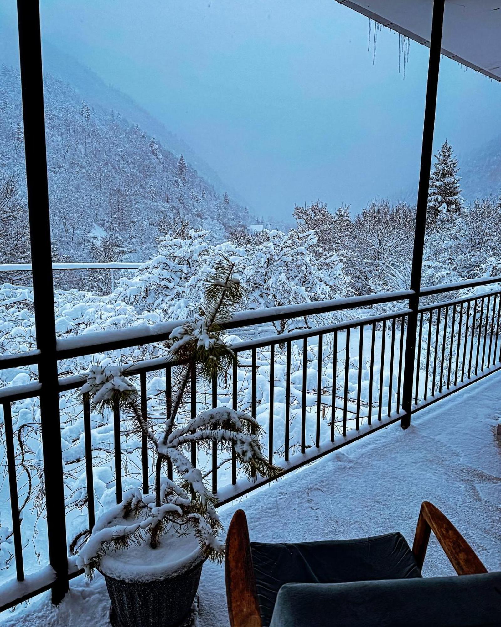 Family Hotel Mountain Panorama Borjomi Exterior photo